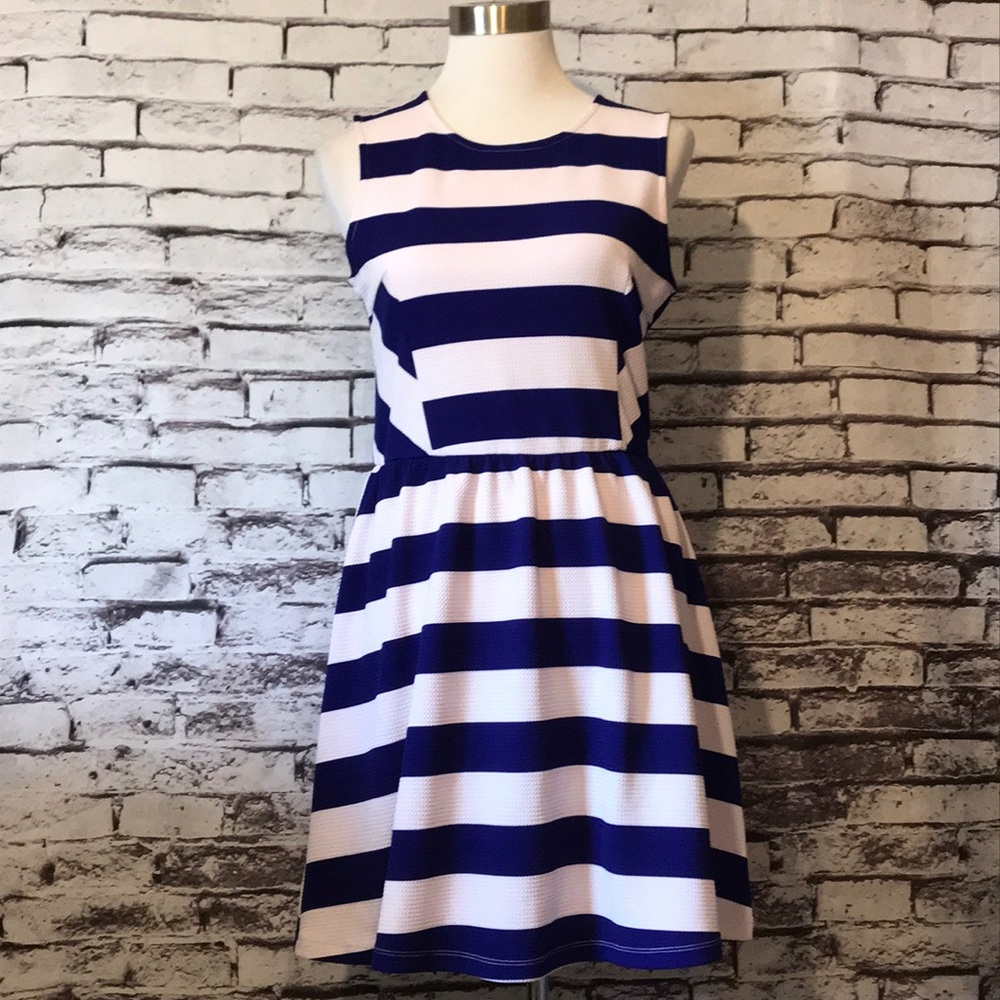 Striped Sleeveless Skater Dress